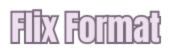 FLIX FORMAT logo